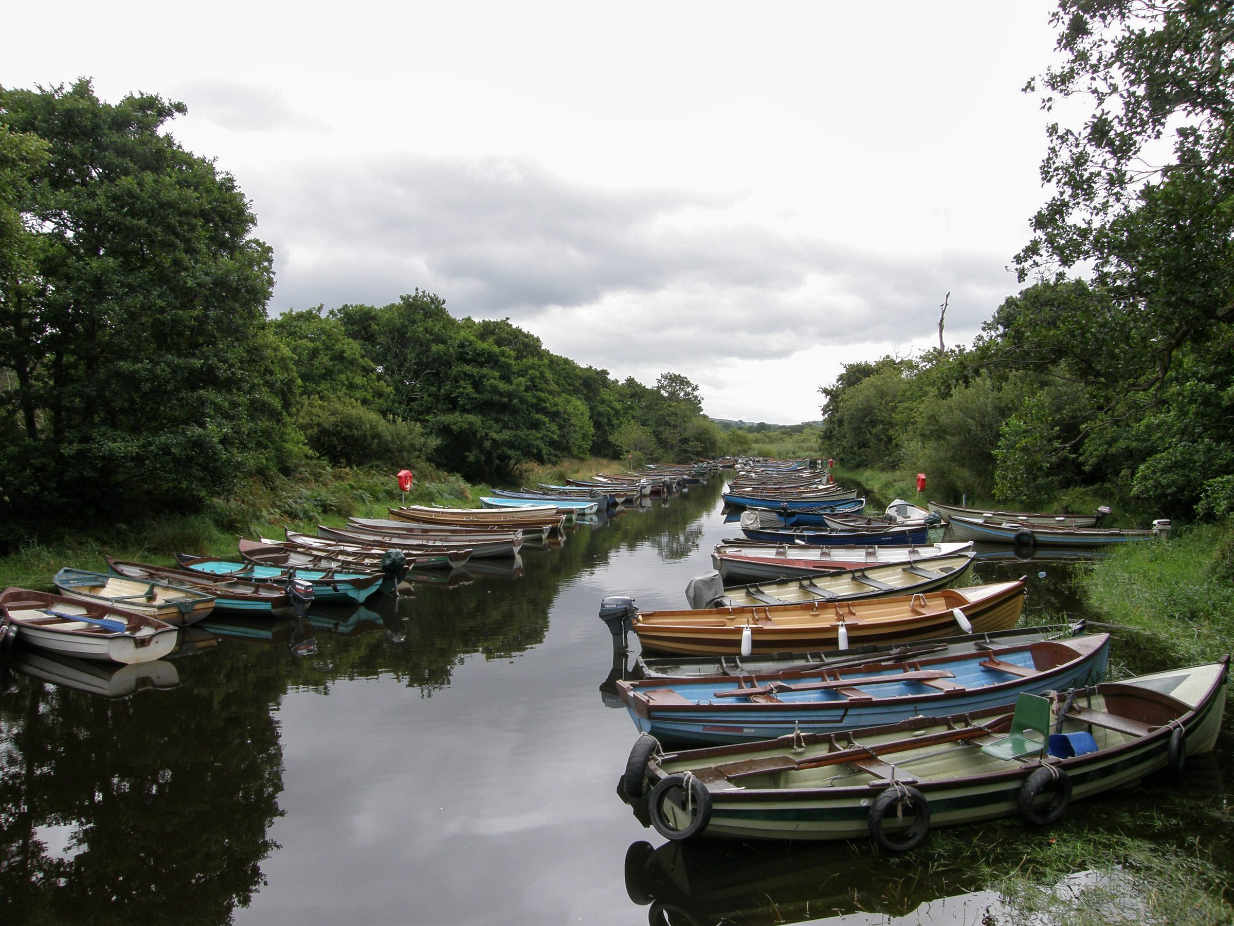 Rowing boats moored near Ross Castle on Lough Leane, Killarney