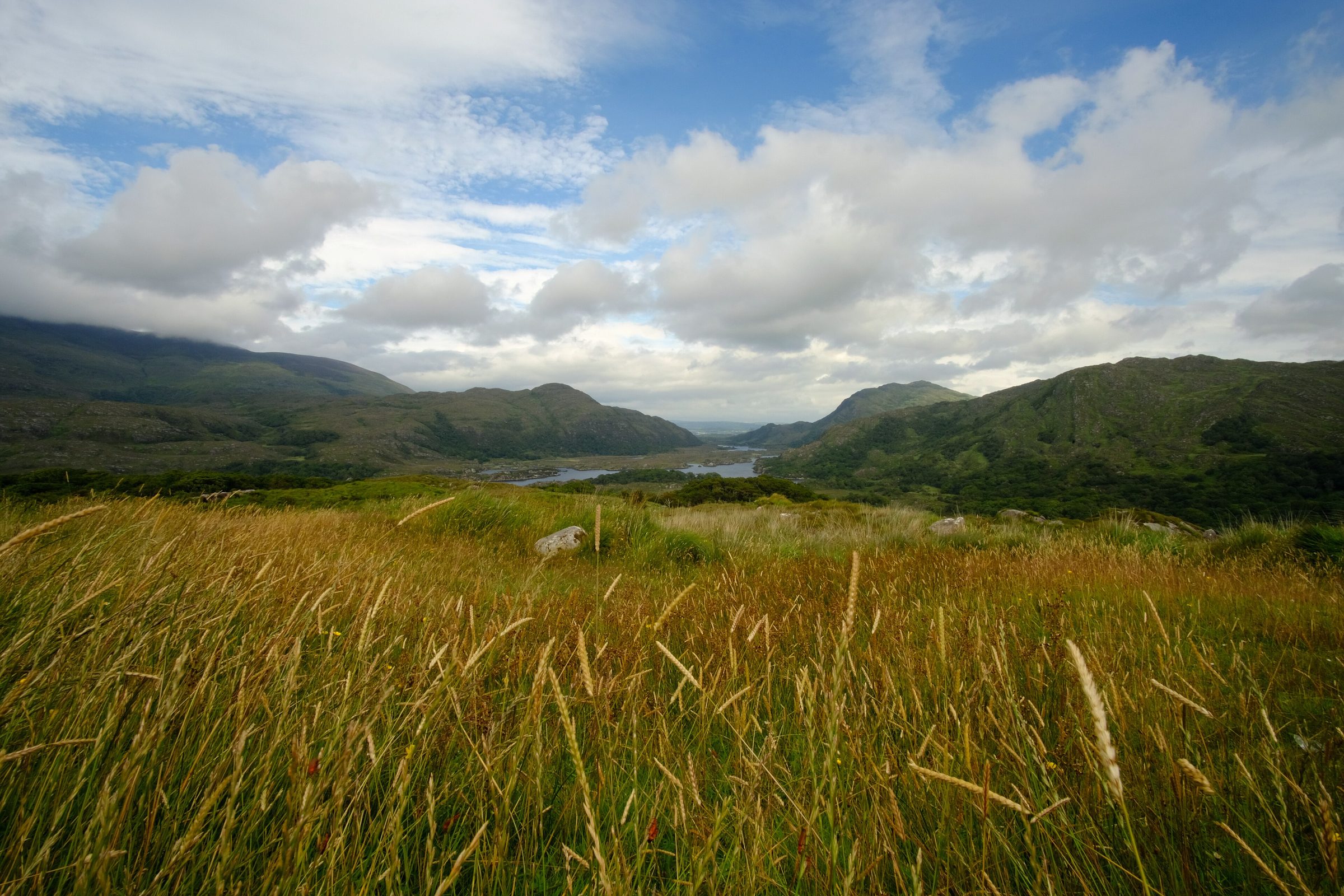 Ladies View over the lakes of Killarney National Park
