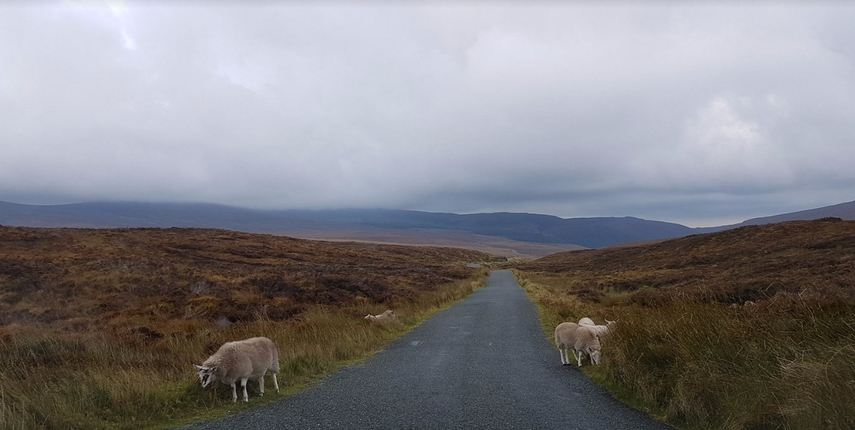 The Wicklow Military Road