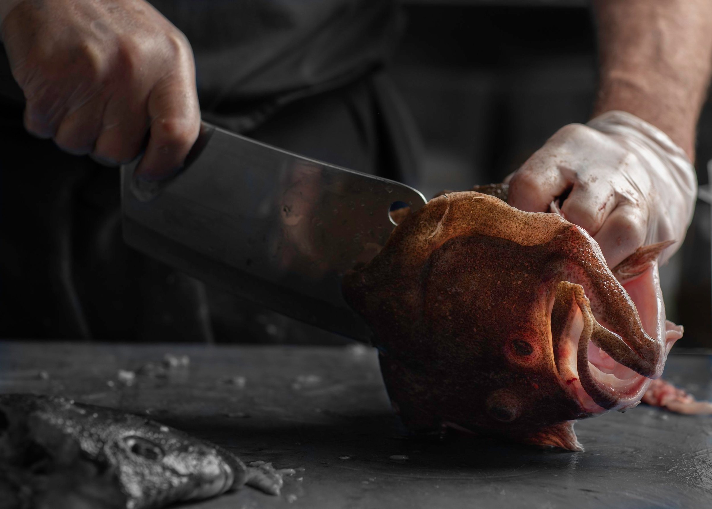 Kitchen preparation at Liath, Blackrock, Dublin
