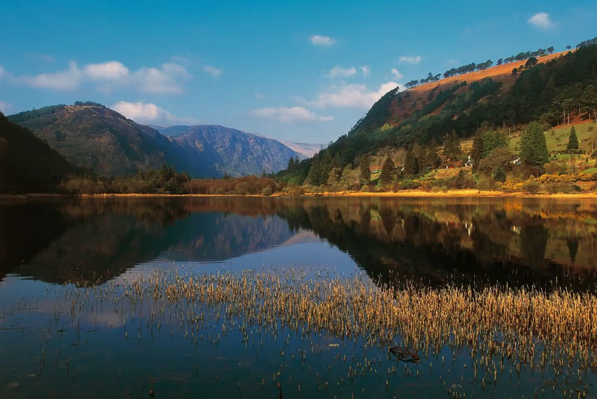 The Wicklow Edit, The Garden of Ireland