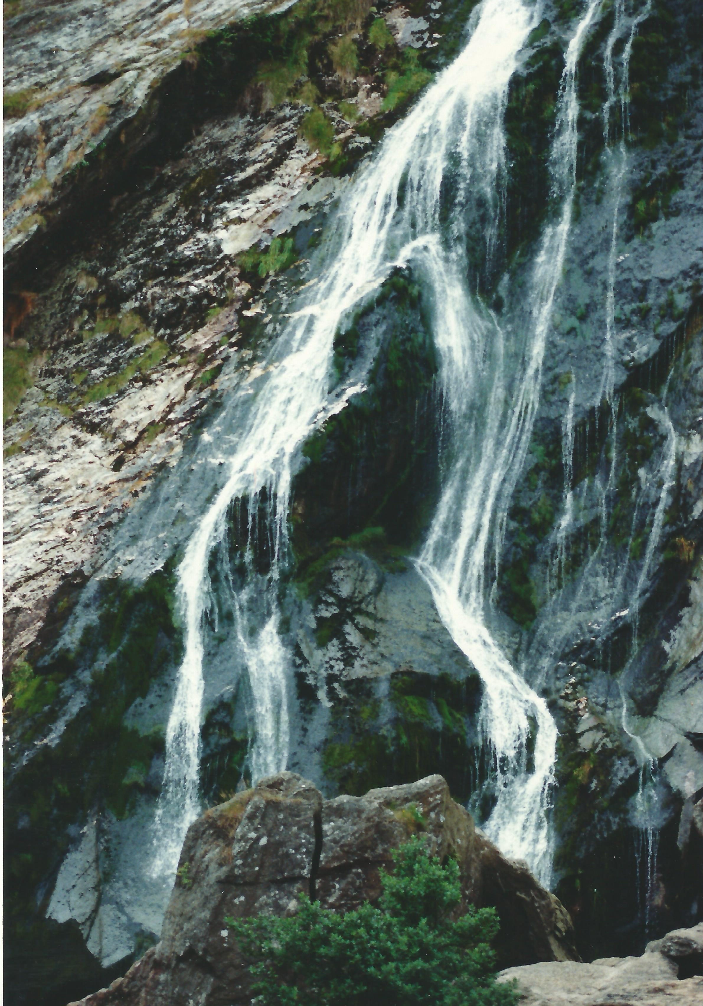 Powerscourt Waterfall falling through woodland, County Wicklow