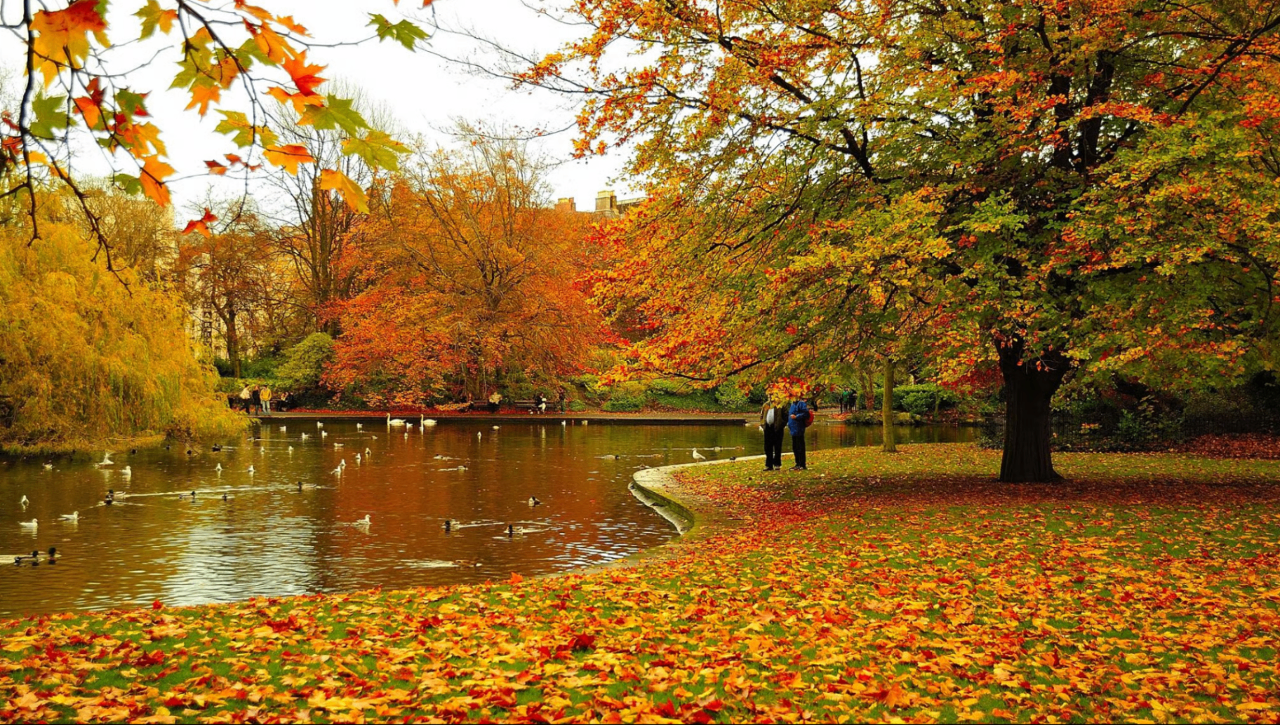 Stephen's Green after the shower
