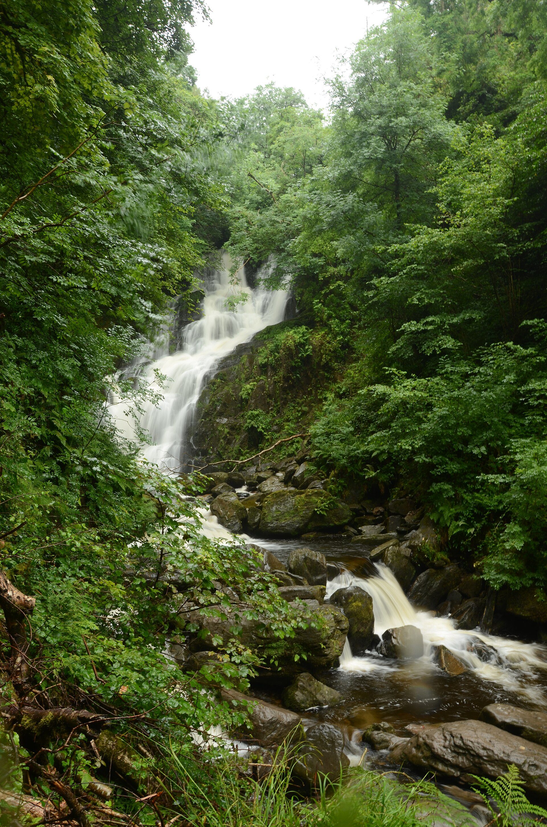 Torc Waterfall in woodland near Killarney