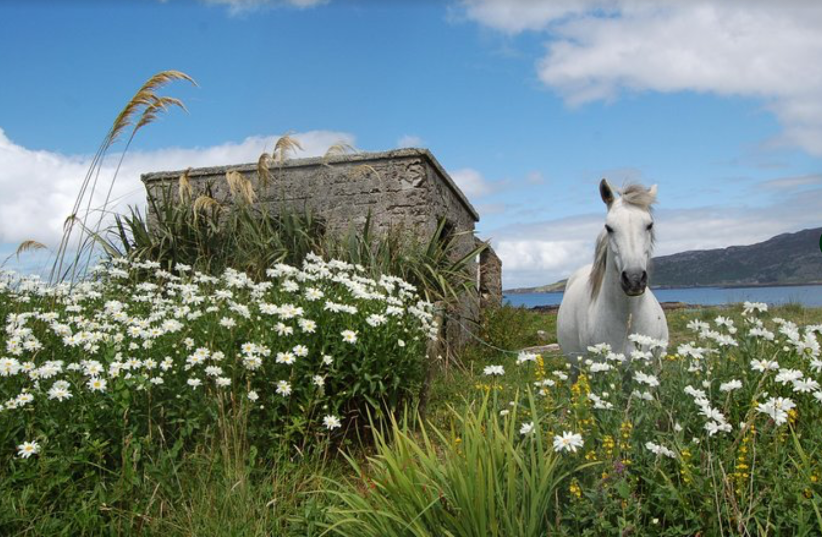 A July afternoon in Connemara