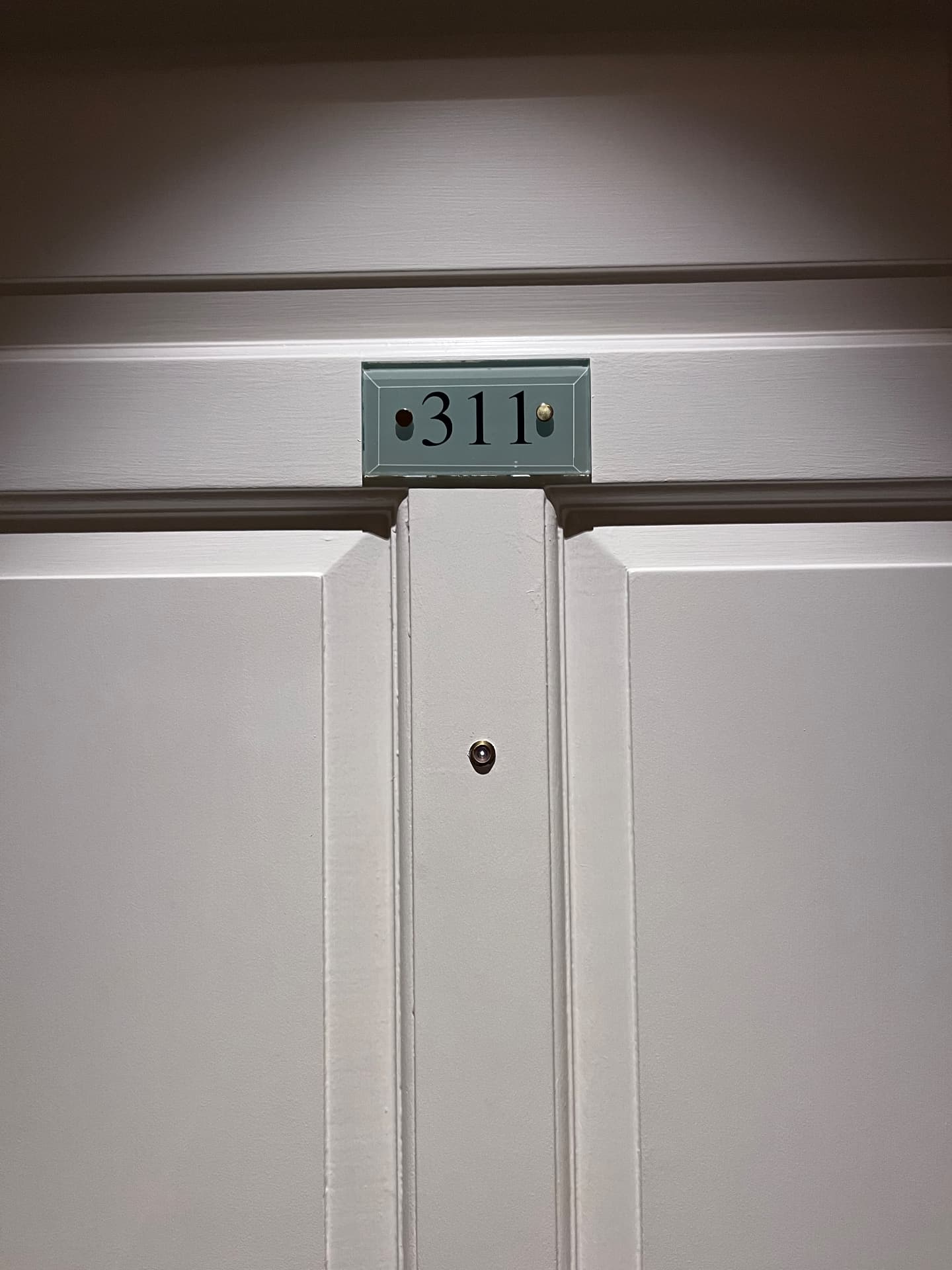 Painted Georgian door marked 311 at The Merrion