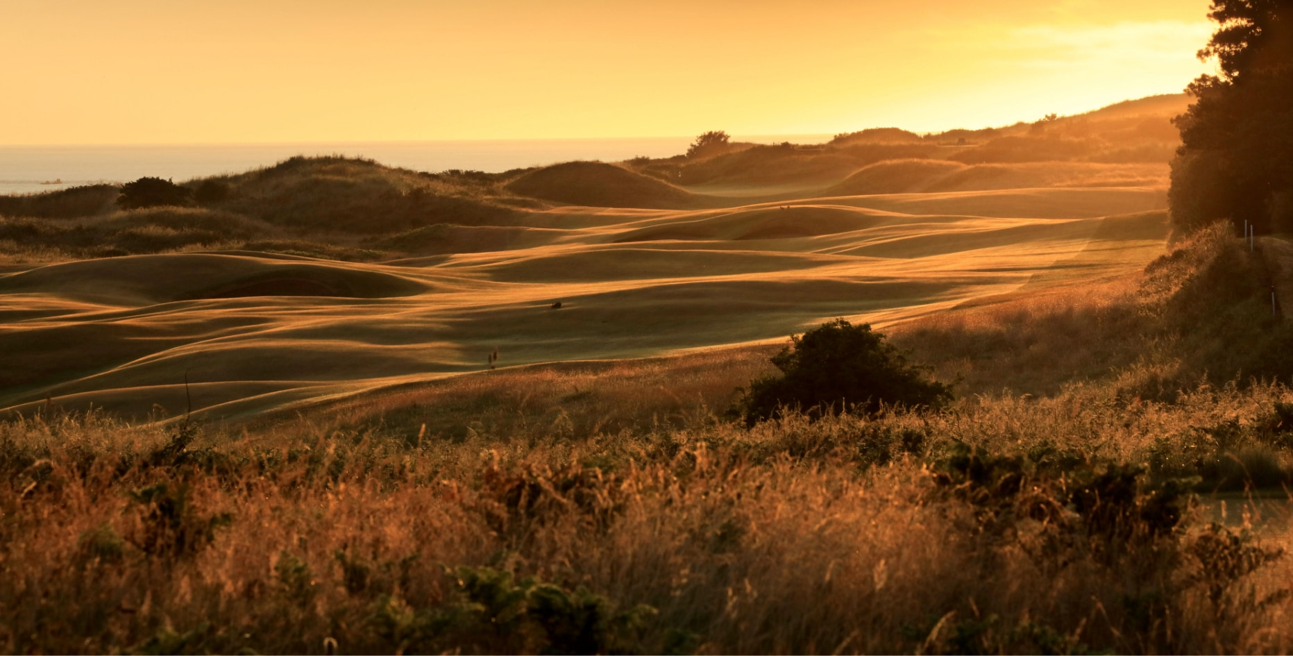 Dunes across the Dunluce Links at Royal Portrush