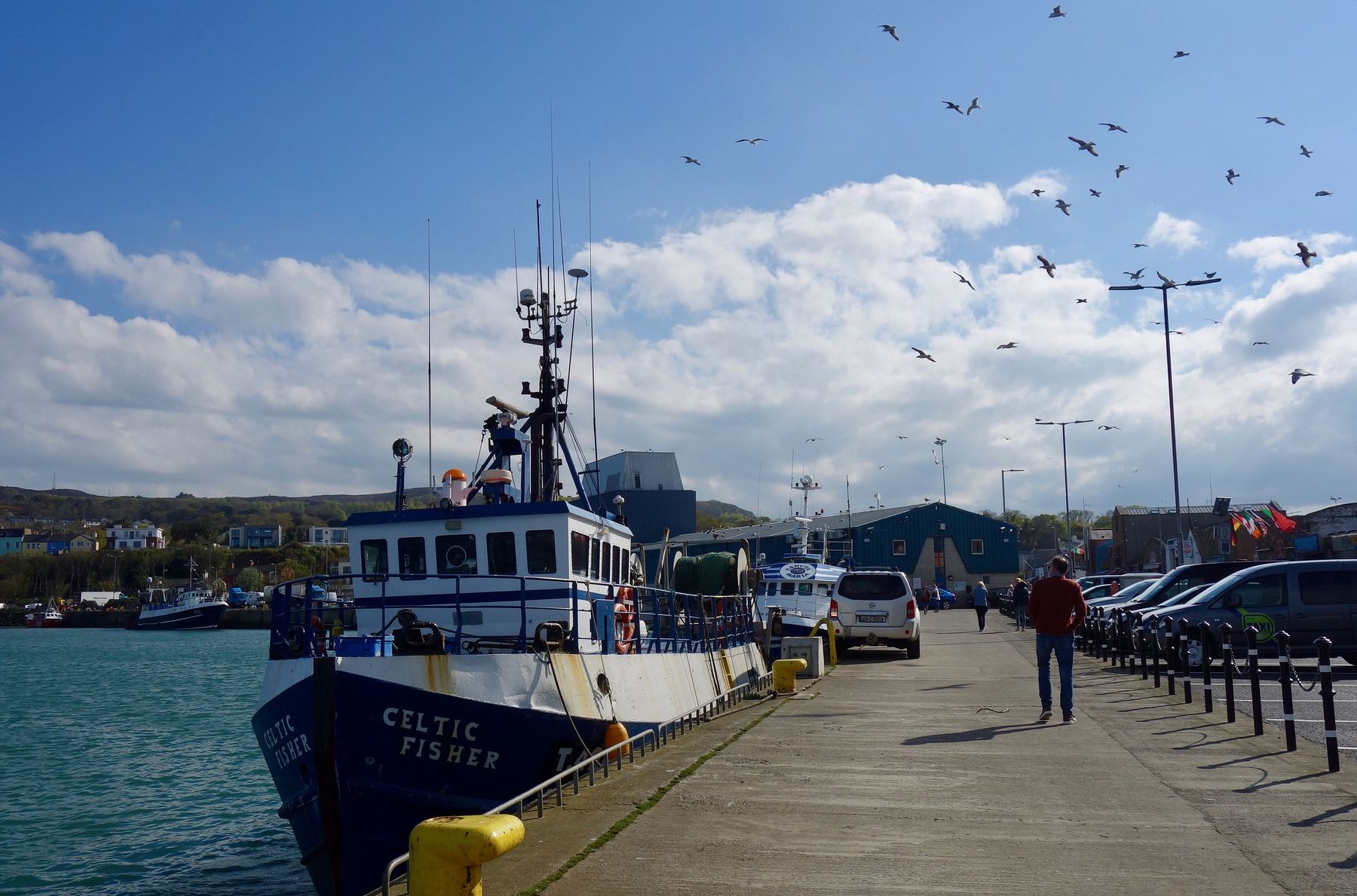 Fishing boats tied up in Howth harbour, County Dublin