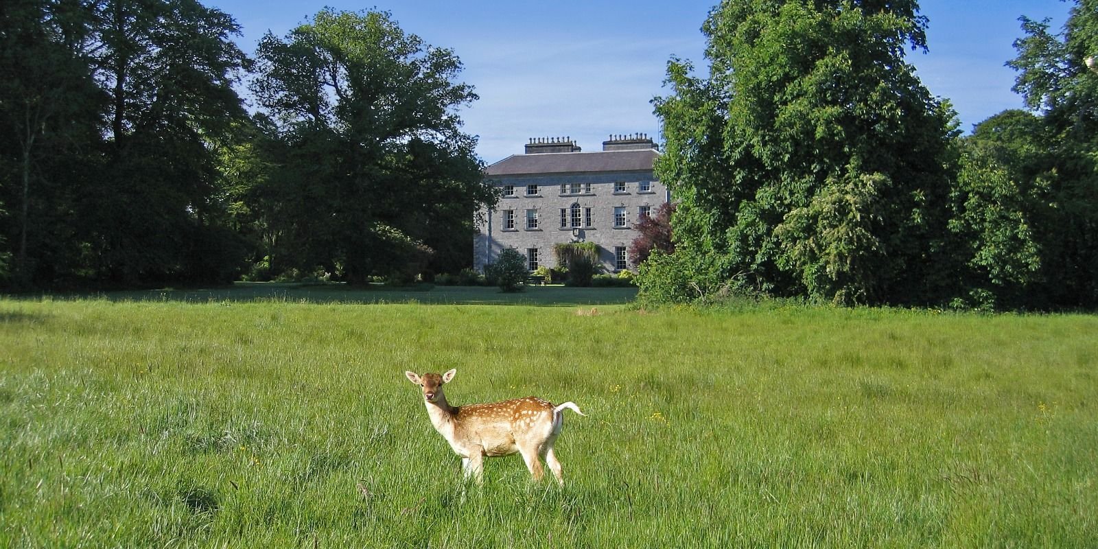 Coopershill House seen across the deer park, Co. Sligo