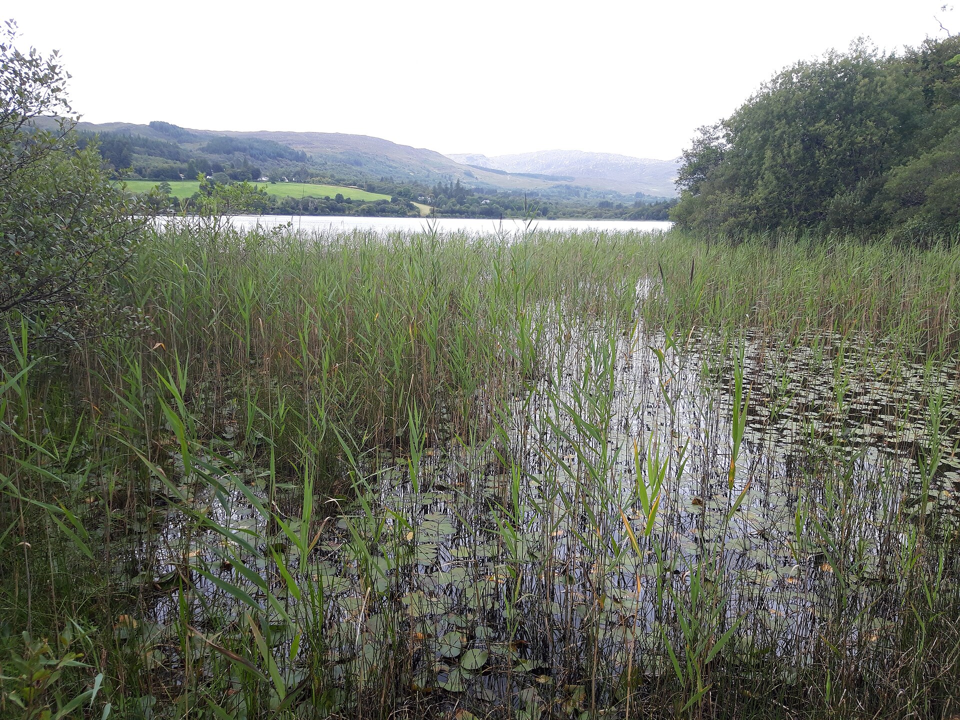 Lough Eske Castle romantic lakeside castle hotel in County Donegal Ireland